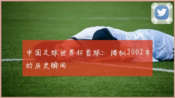 中国足球世界杯首球：揭秘2002年的历史瞬间