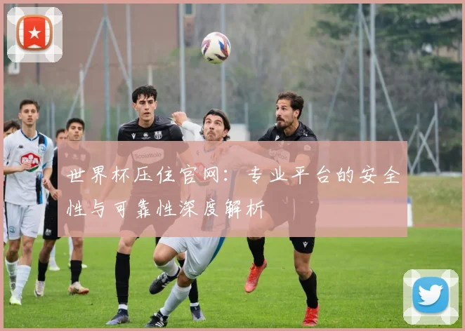 世界杯压住官网：专业平台的安全性与可靠性深度解析