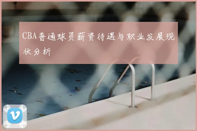 CBA普通球员薪资待遇与职业发展现状分析