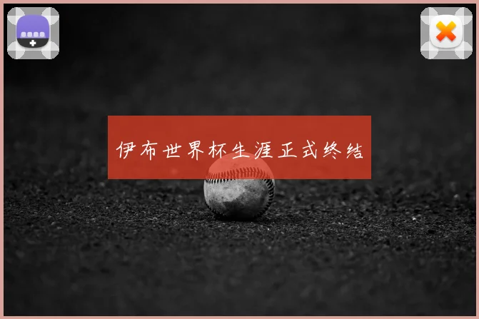 伊布世界杯生涯正式终结